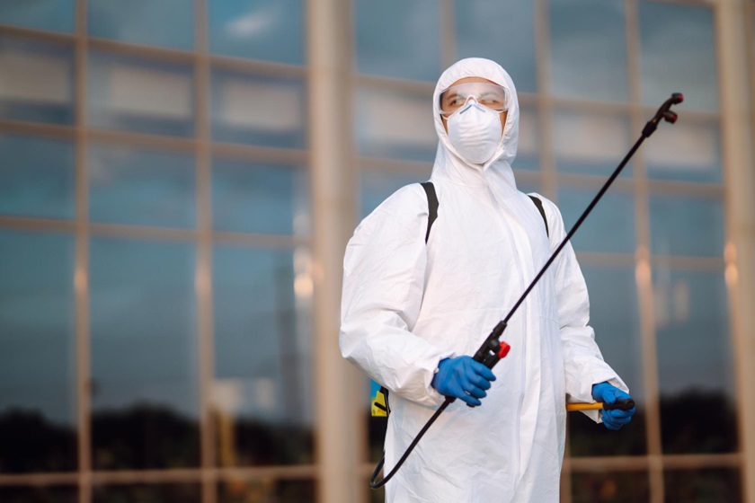 Mastering Pest Control Comprehensive Guide to Safeguarding Your Home